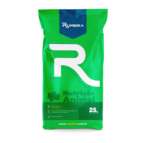 RB 60 RECRIA